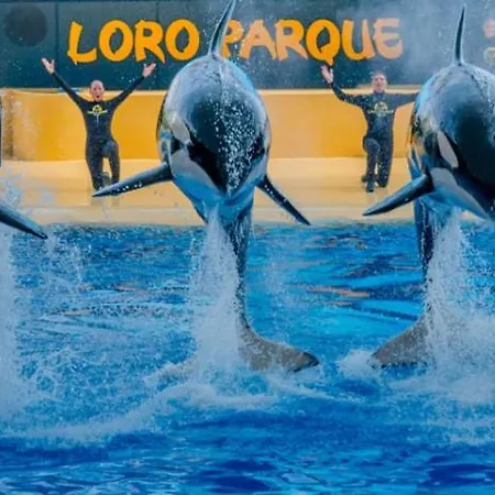 Apartment Terrace On Puerto *